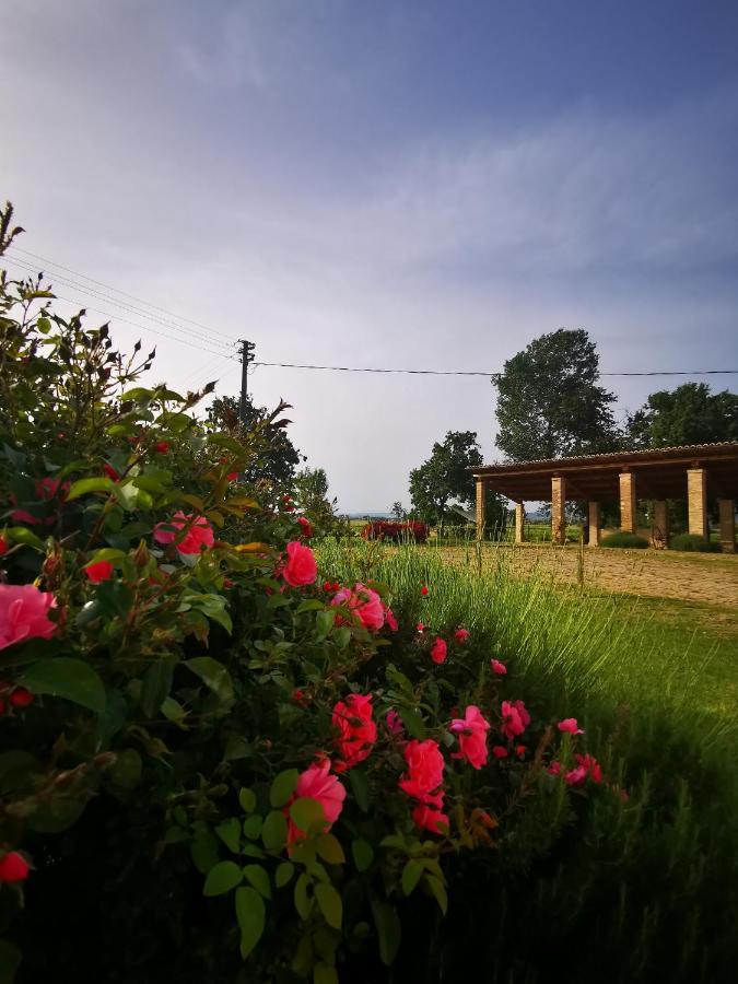 La Casa Dei Tigli Bed & Breakfast Cannara Ngoại thất bức ảnh