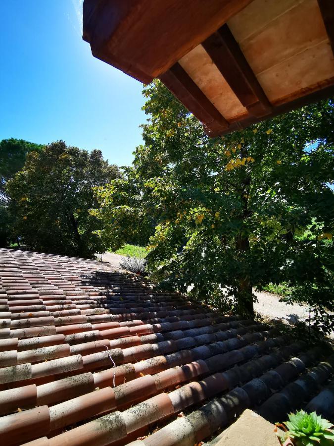 La Casa Dei Tigli Bed & Breakfast Cannara Ngoại thất bức ảnh