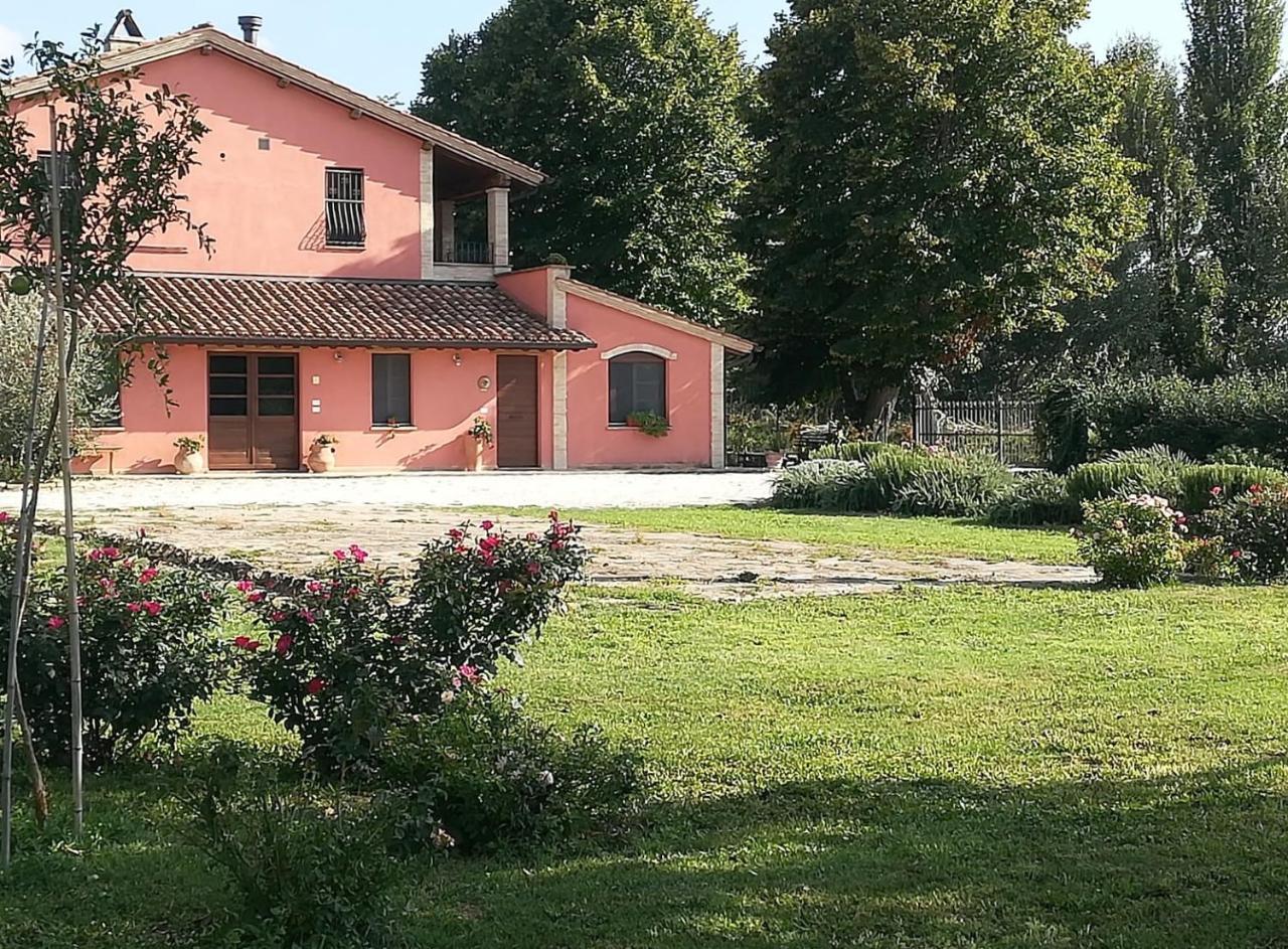 La Casa Dei Tigli Bed & Breakfast Cannara Ngoại thất bức ảnh